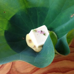 胡麻豆腐 トマトの雫ジュレ 玉蜀黍のすり流し